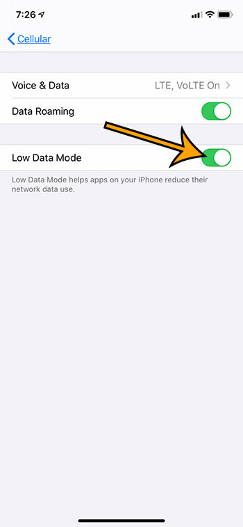 how to enable Low Data Mode on an iPhone 11